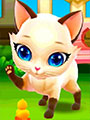 Игры Кошки